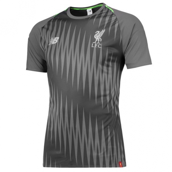 Maglia Formazione Liverpool 2018/19 Grigio