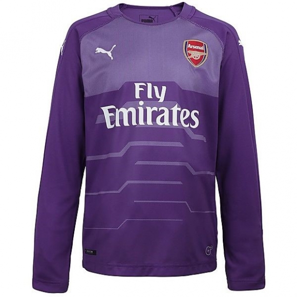 Maglie Arsenal Ml Portiere 2018/19 Porpora