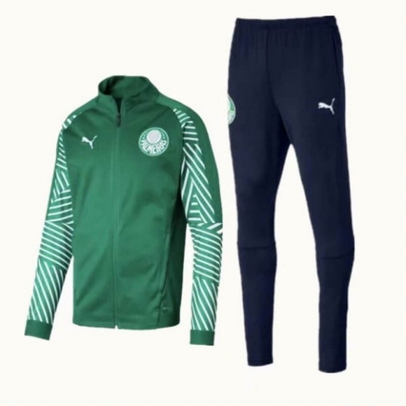 Felpa Palmeiras 2018/19 Verde