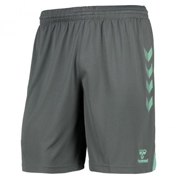 Pantaloni Everton Terza 2020/21 Verde